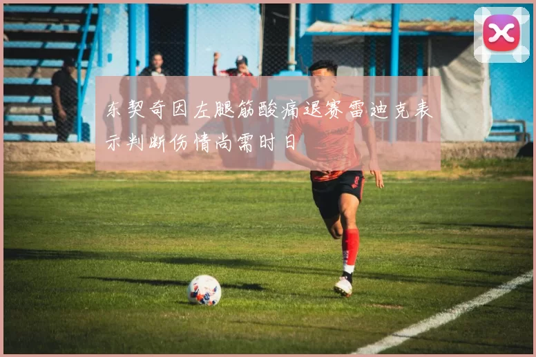 东契奇因左腿筋酸痛退赛雷迪克表示判断伤情尚需时日