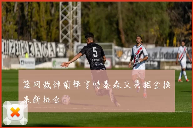篮网裁掉前锋亨特泰森交易掘金换来新机会