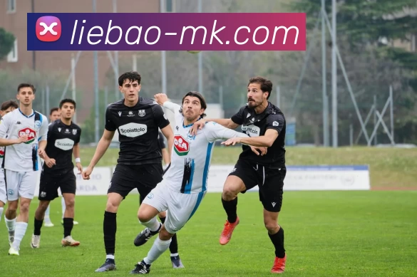 MK体育APP 封面图